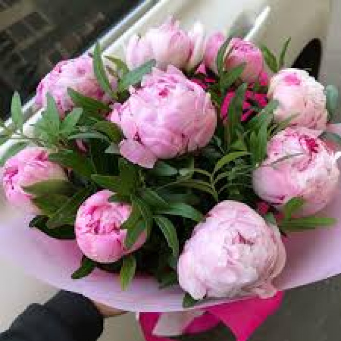 Пион древовидный в Сарани