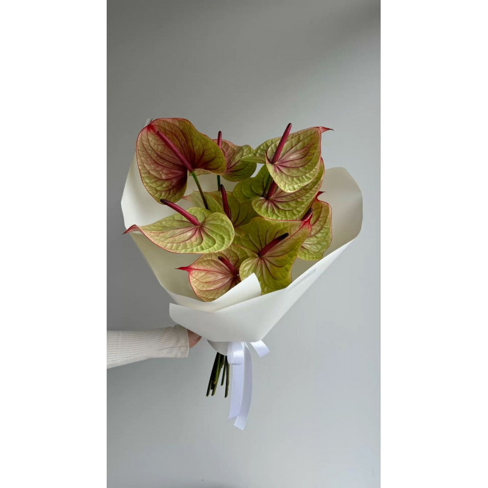 Антуриумы в Сарани