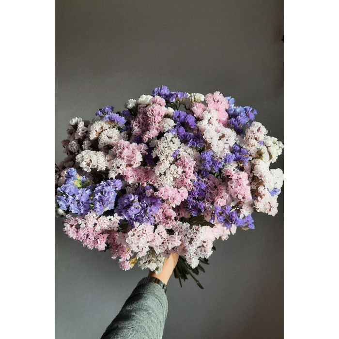 Статица (Лимониум) в Сарани