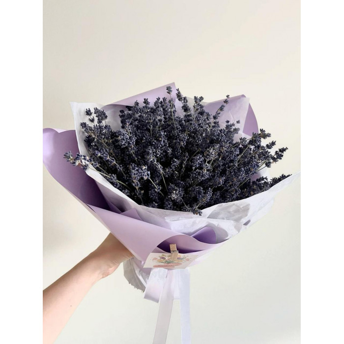 Лаванда в Сарани