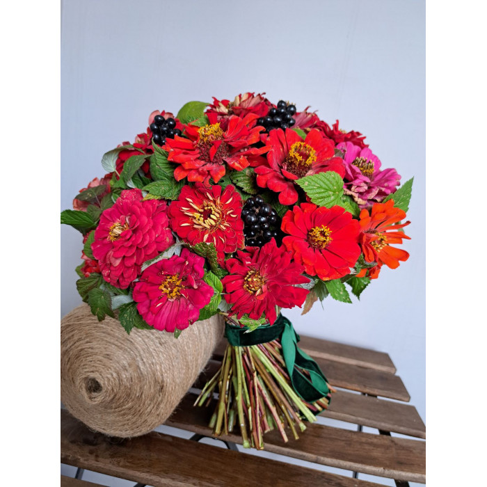 Циния в Сарани