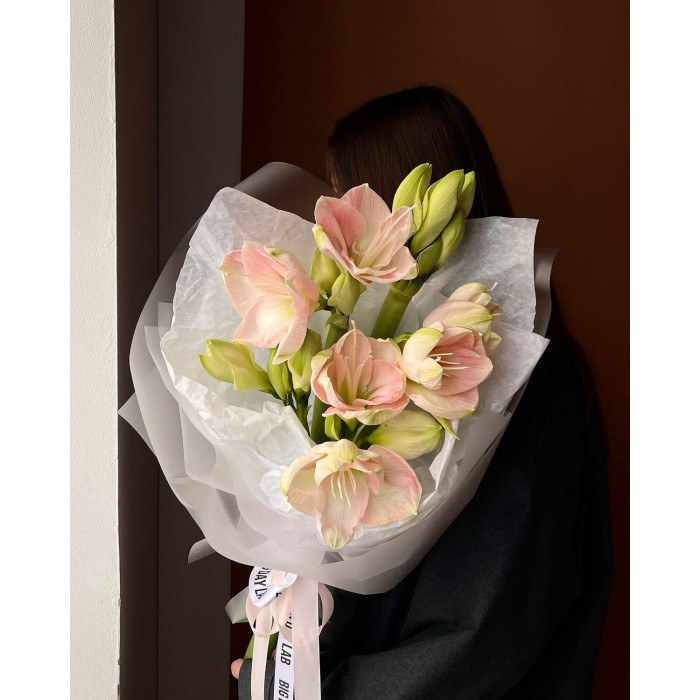 Амариллис в Сарани