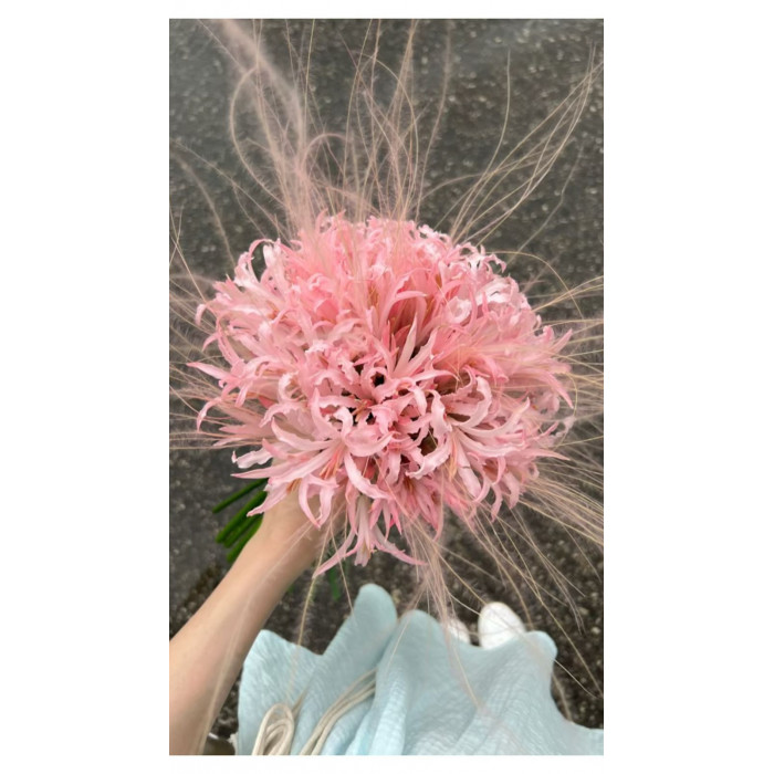 Нерине в Сарани