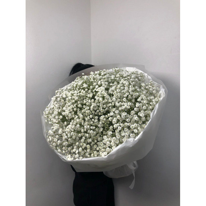 Гипсофила классическая в Сарани