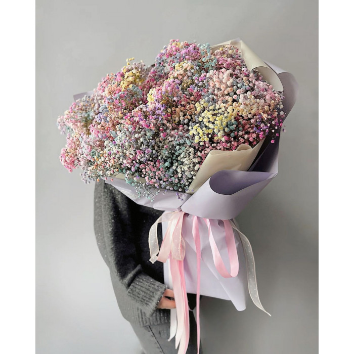 Гипсофила цветная в Сарани