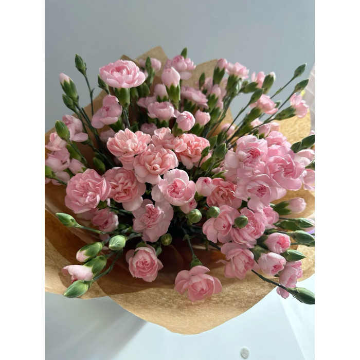 Кустовые гвоздики в Сарани