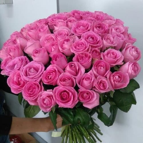 Купить на заказ Букет из 75 розовых роз с доставкой в Сарани